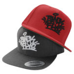 FlyTag Snapback